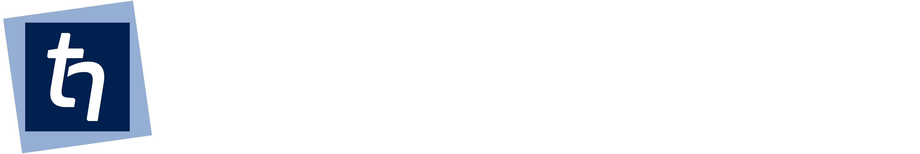 TH Medical Device Services Dr. Thomas Hövetborn